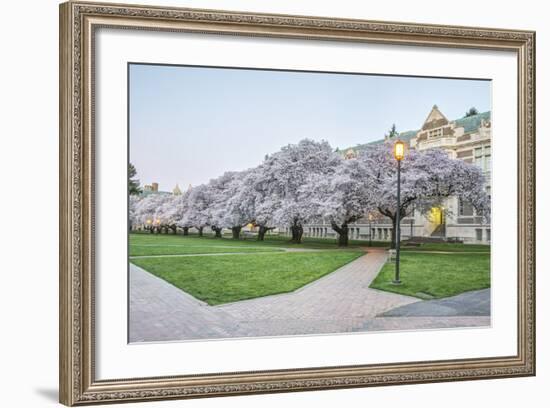USA, Washington, Seattle, University of Washington Quad at Dawn-Rob Tilley-Framed Photographic Print