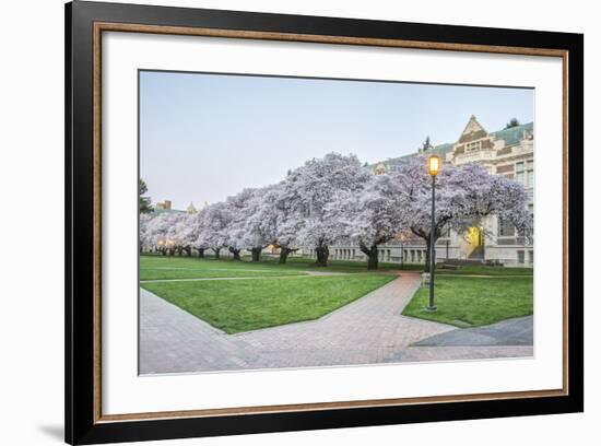 USA, Washington, Seattle, University of Washington Quad at Dawn-Rob Tilley-Framed Photographic Print