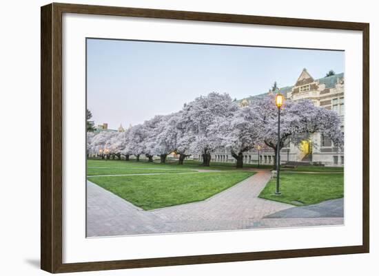 USA, Washington, Seattle, University of Washington Quad at Dawn-Rob Tilley-Framed Photographic Print