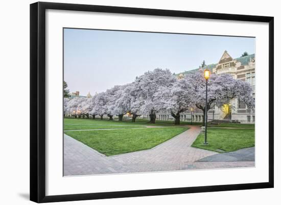 USA, Washington, Seattle, University of Washington Quad at Dawn-Rob Tilley-Framed Photographic Print