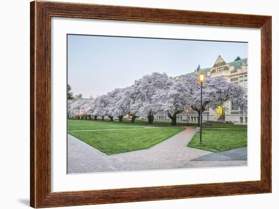 USA, Washington, Seattle, University of Washington Quad at Dawn-Rob Tilley-Framed Photographic Print