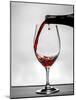 USA, Washington, Spokane. Red wine poured into wine glass creates perfect round drop,-Richard Duval-Mounted Photographic Print
