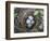 USA, Washington. Spotted Towhee Nest with Eggs-Gary Luhm-Framed Photographic Print