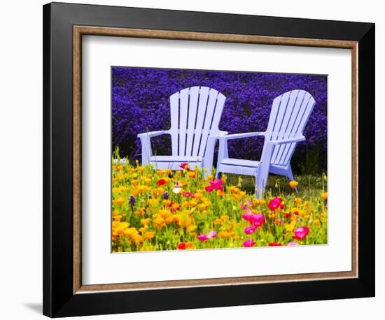 USA, Washington State, Adirondack chairs In Field of Lavender and Poppies-Terry Eggers-Framed Photographic Print