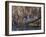 USA, Washington State. Adult male Wood Ducks (Aix Sponsa) taking flight over a marsh.-Gary Luhm-Framed Photographic Print