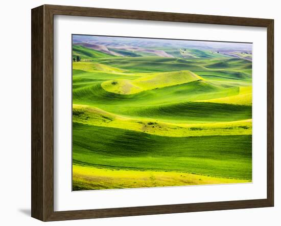 USA, Washington State. Aerial of Palouse Region.-Terry Eggers-Framed Photographic Print