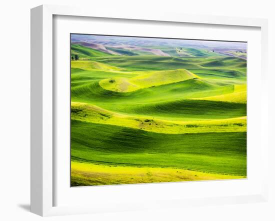 USA, Washington State. Aerial of Palouse Region.-Terry Eggers-Framed Photographic Print