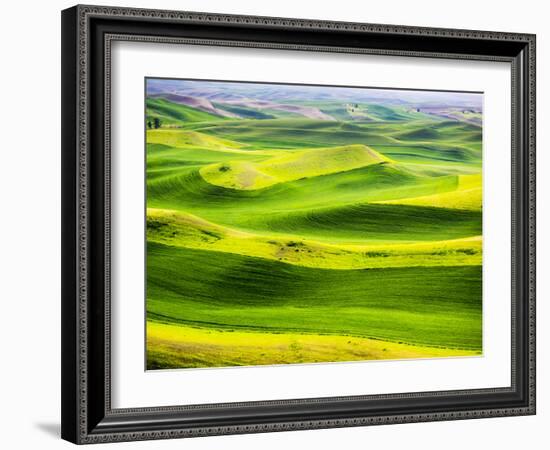 USA, Washington State. Aerial of Palouse Region.-Terry Eggers-Framed Photographic Print