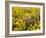 USA, Washington State. Arrowleaf balsamroot and lupine-Terry Eggers-Framed Photographic Print