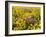 USA, Washington State. Arrowleaf balsamroot and lupine-Terry Eggers-Framed Photographic Print