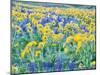 USA, Washington State. Arrowleaf balsamroot and lupine-Terry Eggers-Mounted Photographic Print