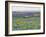 USA, Washington State. Arrowleaf balsamroot and lupine-Terry Eggers-Framed Photographic Print