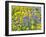 USA, Washington State. Arrowleaf balsamroot and lupine-Terry Eggers-Framed Photographic Print