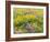 USA, Washington State. Arrowleaf balsamroot and lupine-Terry Eggers-Framed Photographic Print