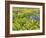 USA, Washington State. Arrowleaf balsamroot and lupine-Terry Eggers-Framed Photographic Print