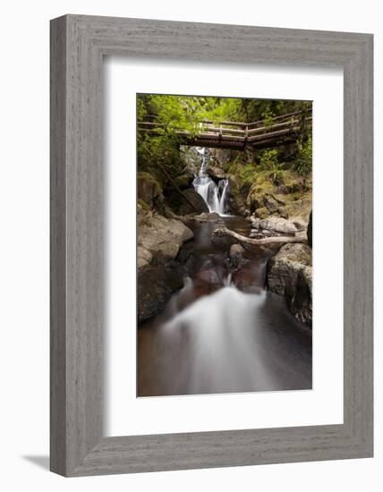 USA, Washington State, Beacon Rock State Park. Hardy Creek.-Brent Bergherm-Framed Photographic Print