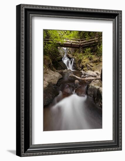 USA, Washington State, Beacon Rock State Park. Hardy Creek.-Brent Bergherm-Framed Photographic Print