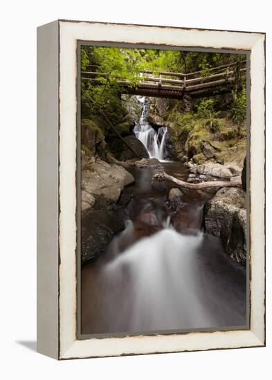 USA, Washington State, Beacon Rock State Park. Hardy Creek.-Brent Bergherm-Framed Premier Image Canvas