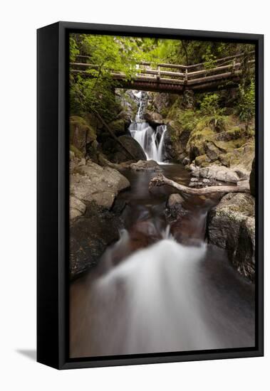 USA, Washington State, Beacon Rock State Park. Hardy Creek.-Brent Bergherm-Framed Premier Image Canvas