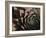 Usa, Washington State, Bellevue. Houseleek 'Bronze Pastel,' also known as Hens-And-Chicks-Merrill Images-Framed Photographic Print