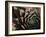 Usa, Washington State, Bellevue. Houseleek 'Bronze Pastel,' also known as Hens-And-Chicks-Merrill Images-Framed Photographic Print