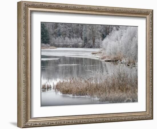 USA, Washington State, Cle Elum, Kittitas County. Winter along the Yakima River.-Julie Eggers-Framed Photographic Print