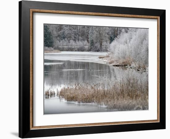 USA, Washington State, Cle Elum, Kittitas County. Winter along the Yakima River.-Julie Eggers-Framed Photographic Print