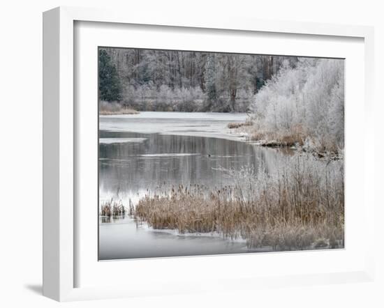 USA, Washington State, Cle Elum, Kittitas County. Winter along the Yakima River.-Julie Eggers-Framed Photographic Print