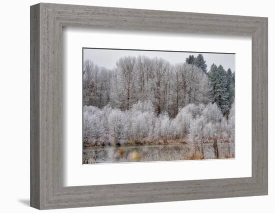 USA, Washington State, Cle Elum, Kittitas County. Winter along the Yakima River.-Julie Eggers-Framed Photographic Print