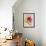 USA, Washington State, Cle Elum. Macro of a dahlia.-Julie Eggers-Framed Photographic Print displayed on a wall