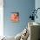 USA, Washington State, Cle Elum. Macro of a dahlia.-Julie Eggers-Photographic Print displayed on a wall