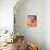 USA, Washington State, Cle Elum. Macro of a dahlia.-Julie Eggers-Photographic Print displayed on a wall