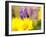 USA, Washington State. Close-up of Arrowleaf Balsamroot and lupine-Terry Eggers-Framed Photographic Print