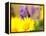 USA, Washington State. Close-up of Arrowleaf Balsamroot and lupine-Terry Eggers-Framed Premier Image Canvas