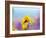 USA, Washington State. Close-up of Arrowleaf Balsamroot and lupine-Terry Eggers-Framed Photographic Print