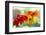 USA, Washington State. Close-up of State Fair Zinnia-Sylvia Gulin-Framed Photographic Print