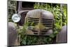 USA, Washington State, Columbia County. Abandoned car just north of Dayton.-Brent Bergherm-Mounted Photographic Print