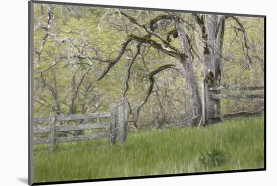 USA, Washington State, Columbia River Gorge. Abandoned pasture-Jaynes Gallery-Mounted Photographic Print