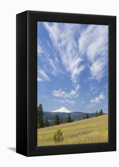 USA, Washington State, Columbia River Gorge. Summer Meadow Landscape-Don Paulson-Framed Premier Image Canvas