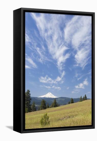 USA, Washington State, Columbia River Gorge. Summer Meadow Landscape-Don Paulson-Framed Premier Image Canvas