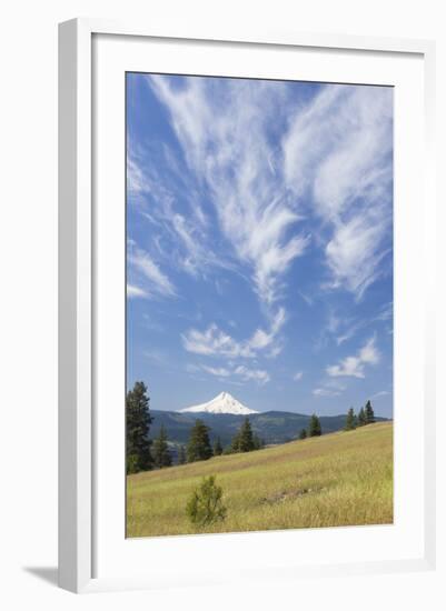 USA, Washington State, Columbia River Gorge. Summer Meadow Landscape-Don Paulson-Framed Photographic Print