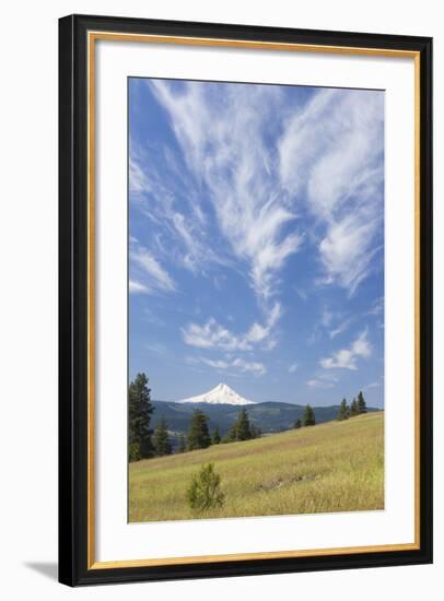 USA, Washington State, Columbia River Gorge. Summer Meadow Landscape-Don Paulson-Framed Photographic Print