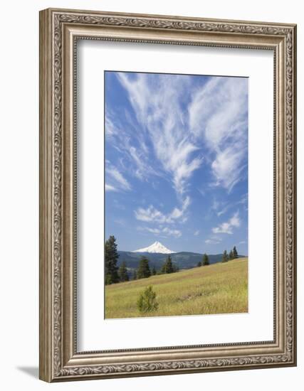 USA, Washington State, Columbia River Gorge. Summer Meadow Landscape-Don Paulson-Framed Photographic Print