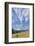 USA, Washington State, Columbia River Gorge. Summer Meadow Landscape-Don Paulson-Framed Photographic Print