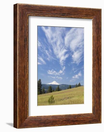 USA, Washington State, Columbia River Gorge. Summer Meadow Landscape-Don Paulson-Framed Photographic Print