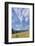 USA, Washington State, Columbia River Gorge. Summer Meadow Landscape-Don Paulson-Framed Photographic Print