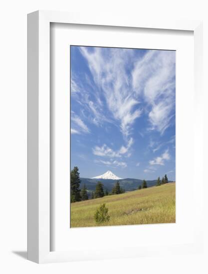 USA, Washington State, Columbia River Gorge. Summer Meadow Landscape-Don Paulson-Framed Photographic Print