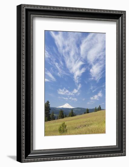 USA, Washington State, Columbia River Gorge. Summer Meadow Landscape-Don Paulson-Framed Photographic Print