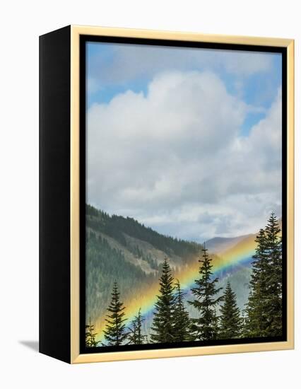 Usa, Washington State, Crystal Mountain. Rainbow in valley through trees.-Merrill Images-Framed Premier Image Canvas