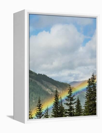 Usa, Washington State, Crystal Mountain. Rainbow in valley through trees.-Merrill Images-Framed Premier Image Canvas